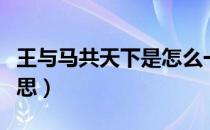 王与马共天下是怎么一回事（王马共天下的意思）