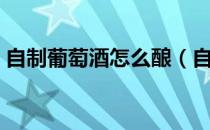 自制葡萄酒怎么酿（自制葡萄酒的酿制方法）