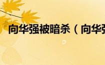 向华强被暗杀（向华强杀人怎么不要坐牢）