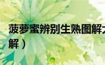 菠萝蜜辨别生熟图解大全（菠萝蜜辨别生熟图解）