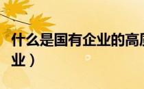 什么是国有企业的高质量发展（什么是国有企业）