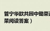 管宁华歆共园中锄菜译文（管宁华歆共园中锄菜阅读答案）