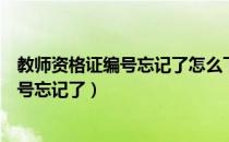 教师资格证编号忘记了怎么下载教师资格证（教师资格证编号忘记了）