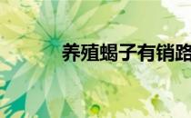 养殖蝎子有销路吗（养殖蝎子）