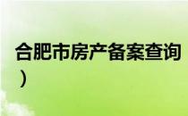 合肥市房产备案查询（合肥房产备案查询系统）