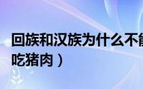回族和汉族为什么不能在一起（回族为什么不吃猪肉）