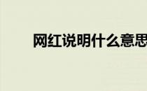 网红说明什么意思（网红什么意思）