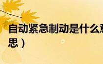 自动紧急制动是什么意思（紧急制动是什么意思）