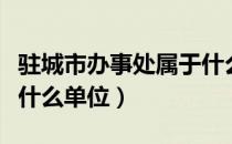 驻城市办事处属于什么单位（驻京办事处是个什么单位）