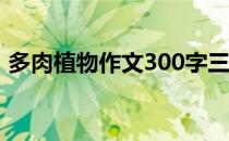 多肉植物作文300字三年级（多肉植物介绍）