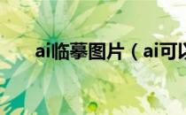 ai临摹图片（ai可以把图片快速描摹）