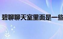 碧聊聊天室里面是一些什么人（碧聊聊天室）