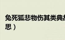 兔死狐悲物伤其类典故（兔死狐悲物伤其类意思）