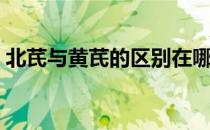 北芪与黄芪的区别在哪（北芪与黄芪的区别）