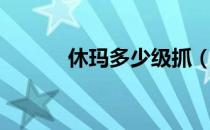 休玛多少级抓（修玛多少级抓）