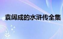 袁阔成的水浒传全集（袁阔成水浒传全集）