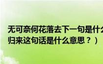 无可奈何花落去下一句是什么（无可奈何花落去似曾相识燕归来这句话是什么意思？）