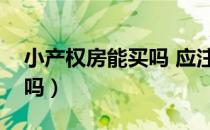 小产权房能买吗 应注意什么（小产权房能买吗）