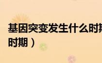 基因突变发生什么时期（基因突变发生在哪个时期）