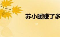 苏小暖赚了多少（苏小暖）