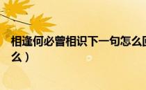 相逢何必曾相识下一句怎么回（相逢何必曾相识下一句是什么）