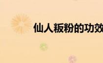 仙人粄粉的功效作用（仙人粄）