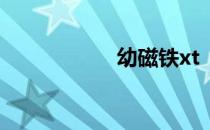 幼磁铁xt  urn  btih