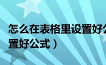 怎么在表格里设置好公式（怎样在电子表格设置好公式）