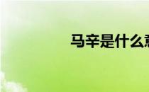 马辛是什么意思（马辛）