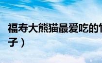 福寿大熊猫最爱吃的竹子（大熊猫最爱吃的竹子）