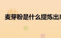 麦芽粉是什么提炼出来的（麦芽粉是什么）