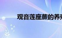 观音莲座蕨的养殖方法（观音莲）