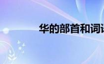 华的部首和词语（华的部首）
