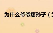 为什么爷爷疼孙子（为什么要用ts语音？）