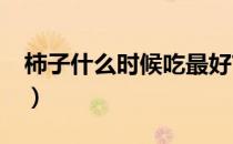 柿子什么时候吃最好?（柿子什么时候吃最好）
