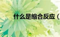什么是缩合反应（什么是缩水盘？）