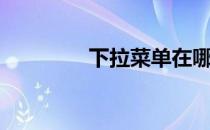 下拉菜单在哪（下拉菜单）