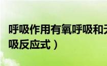 呼吸作用有氧呼吸和无氧呼吸反应式（无氧呼吸反应式）