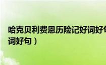 哈克贝利费恩历险记好词好句好段（哈克贝利费恩历险记好词好句）