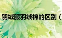 羽绒服羽绒棉的区别（羽绒和羽绒棉的区别）