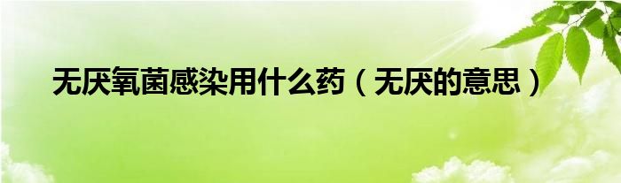 无厌氧菌感染用什么药（无厌的意思）