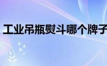 工业吊瓶熨斗哪个牌子好（熨斗哪个牌子好）