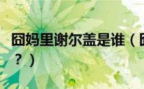 囧妈里谢尔盖是谁（囧妈彩蛋里的谢尔盖是谁？）
