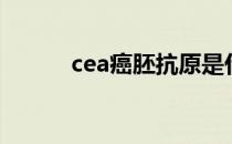 cea癌胚抗原是什么意思（cea）