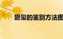碧玺的鉴别方法图解（碧玺的鉴别）