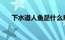 下水道人鱼是什么意思（下水道人鱼）