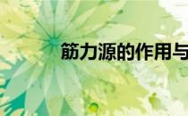 筋力源的作用与危害（筋力源）