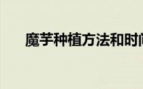 魔芋种植方法和时间（魔芋种植技术）
