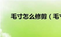 毛寸怎么修剪（毛寸怎么剪步骤图解）
