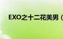 EXO之十二花美男（exo妖孽花美男团）